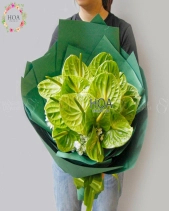 D195871 - belovedbeyond.com