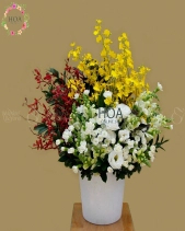 D195926 - belovedbeyond.com