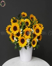 D196103 - belovedbeyond.com