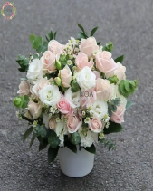 D197619 - belovedbeyond.com