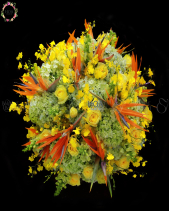 D198020 - belovedbeyond.com