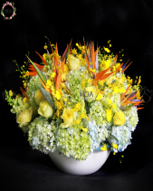 D198020 - belovedbeyond.com