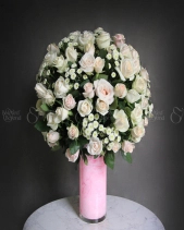 D198463 - belovedbeyond.com