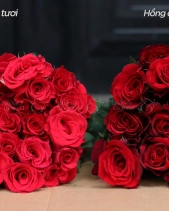 Bình Hoa Hồng Đỏ Rực Rỡ - belovedbeyond.com