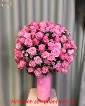 D195864 - belovedbeyond.com