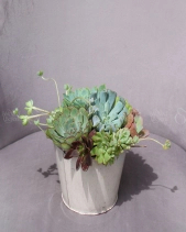 D198763 - belovedbeyond.com