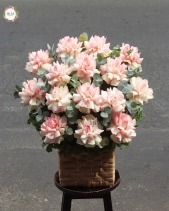 Phút Yêu Đầu - belovedbeyond.com