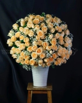 Ngày Em Đến - belovedbeyond.com