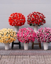 Ngày Em Đến - belovedbeyond.com