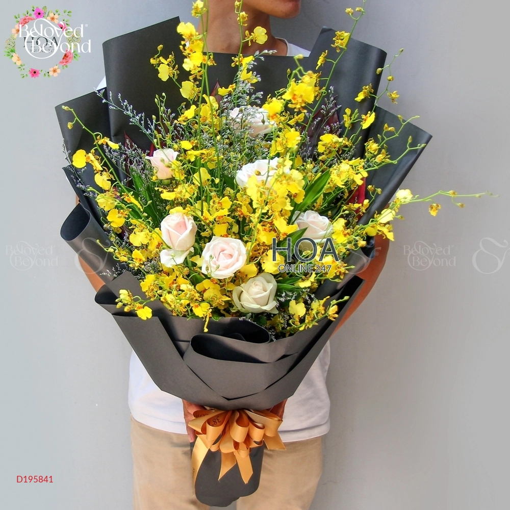 D195841 - belovedbeyond.com