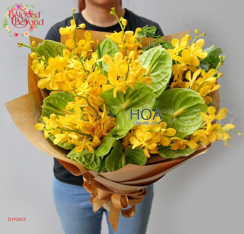 Sức Sống - belovedbeyond.com