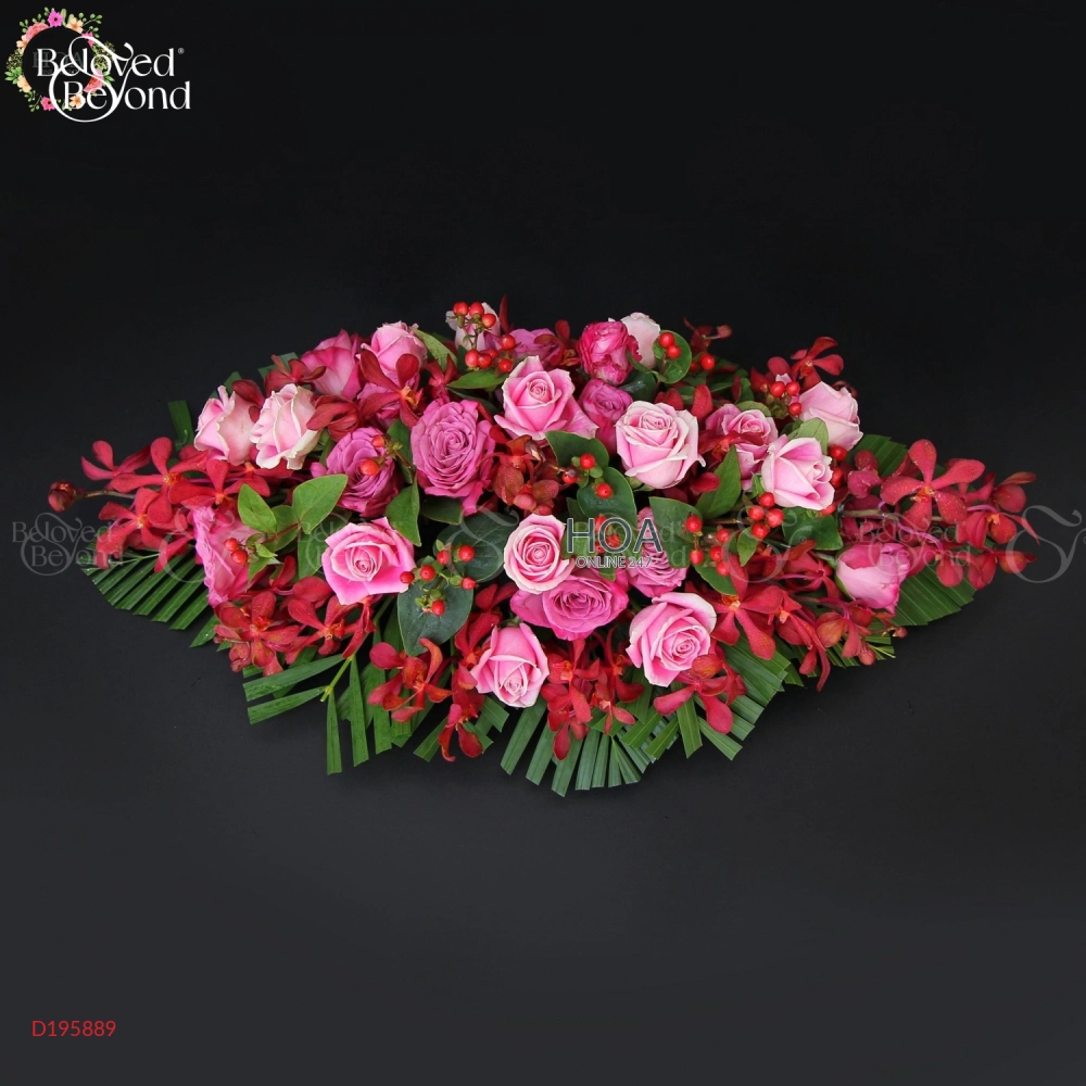 D195889 - belovedbeyond.com