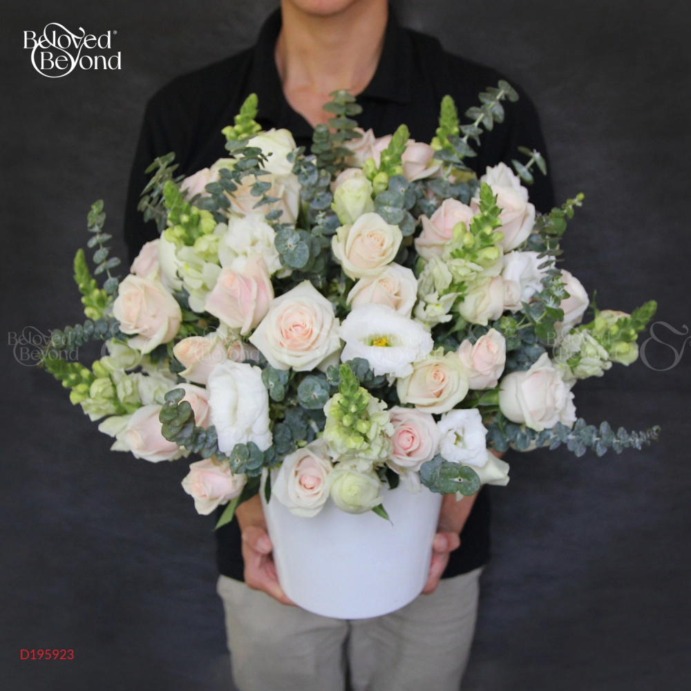 D195923 - belovedbeyond.com