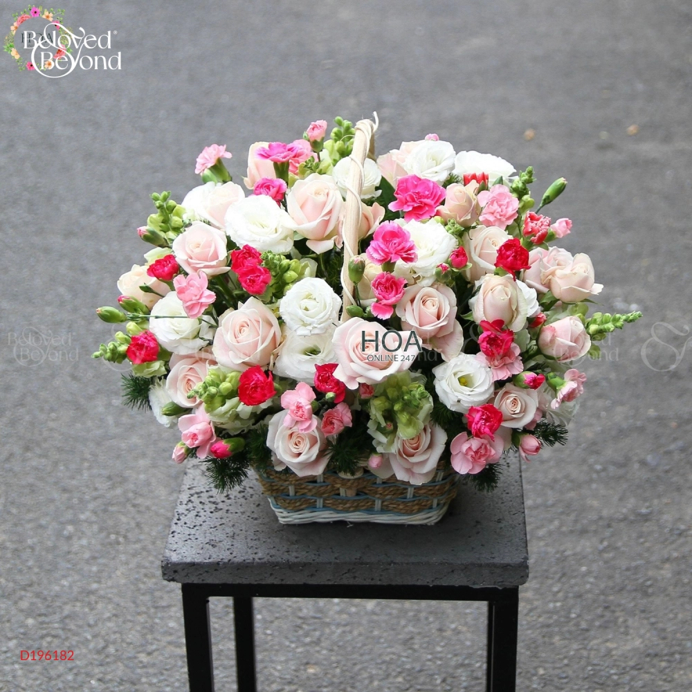 D196182 - belovedbeyond.com