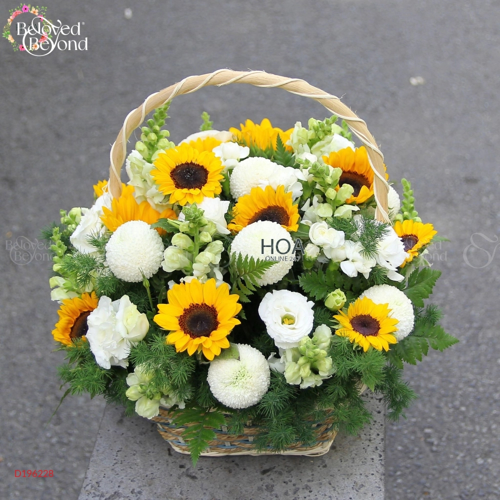 D196228 - belovedbeyond.com