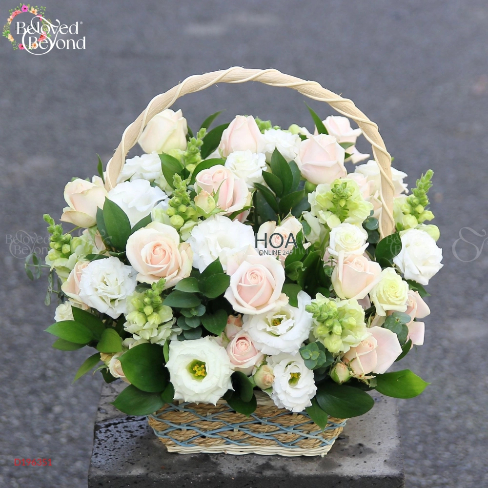 D196351 - belovedbeyond.com