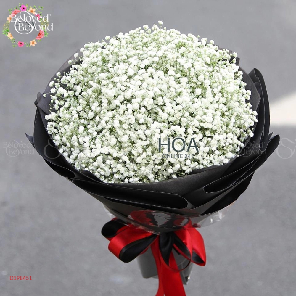 Bó Hoa Baby Trắng - belovedbeyond.com
