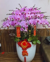 Hạnh Phúc - belovedbeyond.com
