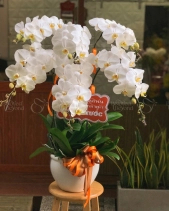 Phú Quí - belovedbeyond.com