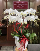 Hưng Thịnh - belovedbeyond.com