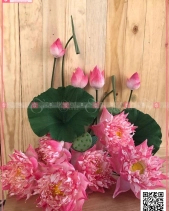 Mùa Yêu - belovedbeyond.com