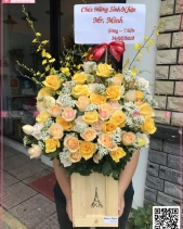 Hoa Chúc Mừng Khai Trương, Sinh Nhật - belovedbeyond.com