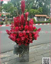 Khởi Sắc - belovedbeyond.com