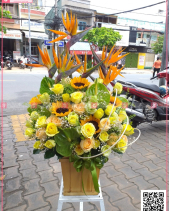 May Mắn - belovedbeyond.com