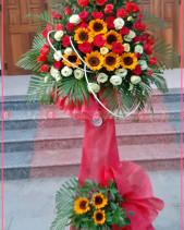 Khởi Sắc - belovedbeyond.com