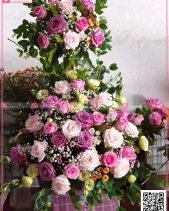 Hy Vọng - belovedbeyond.com