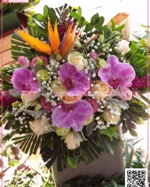 Cảm Ơn - belovedbeyond.com