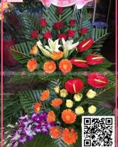 Bách Thắng - belovedbeyond.com