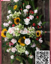 Toả Nắng - belovedbeyond.com