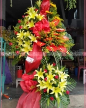 Vươn Xa - belovedbeyond.com