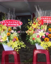 Chung Thuỷ - belovedbeyond.com