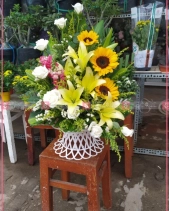 Toả Nắng - belovedbeyond.com