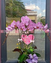 Hy Vọng - belovedbeyond.com