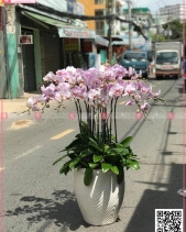 Vươn Xa - belovedbeyond.com