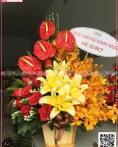 Hoa Sinh Nhật - belovedbeyond.com