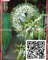 An Nhiên - belovedbeyond.com