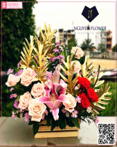 Khởi Sắc - belovedbeyond.com