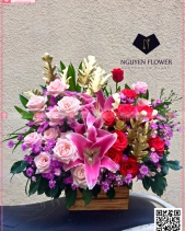 Vươn Xa - belovedbeyond.com