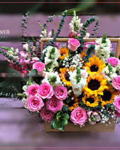 Sức Sống - belovedbeyond.com