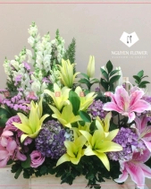 May Mắn - belovedbeyond.com