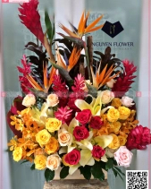 Biết Ơn - belovedbeyond.com