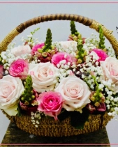 Biết Ơn - belovedbeyond.com