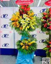 Vươn Xa - belovedbeyond.com