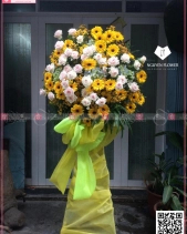 Toả Sáng - belovedbeyond.com