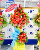 Thành Công - belovedbeyond.com