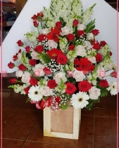 Xinh Xắn - belovedbeyond.com